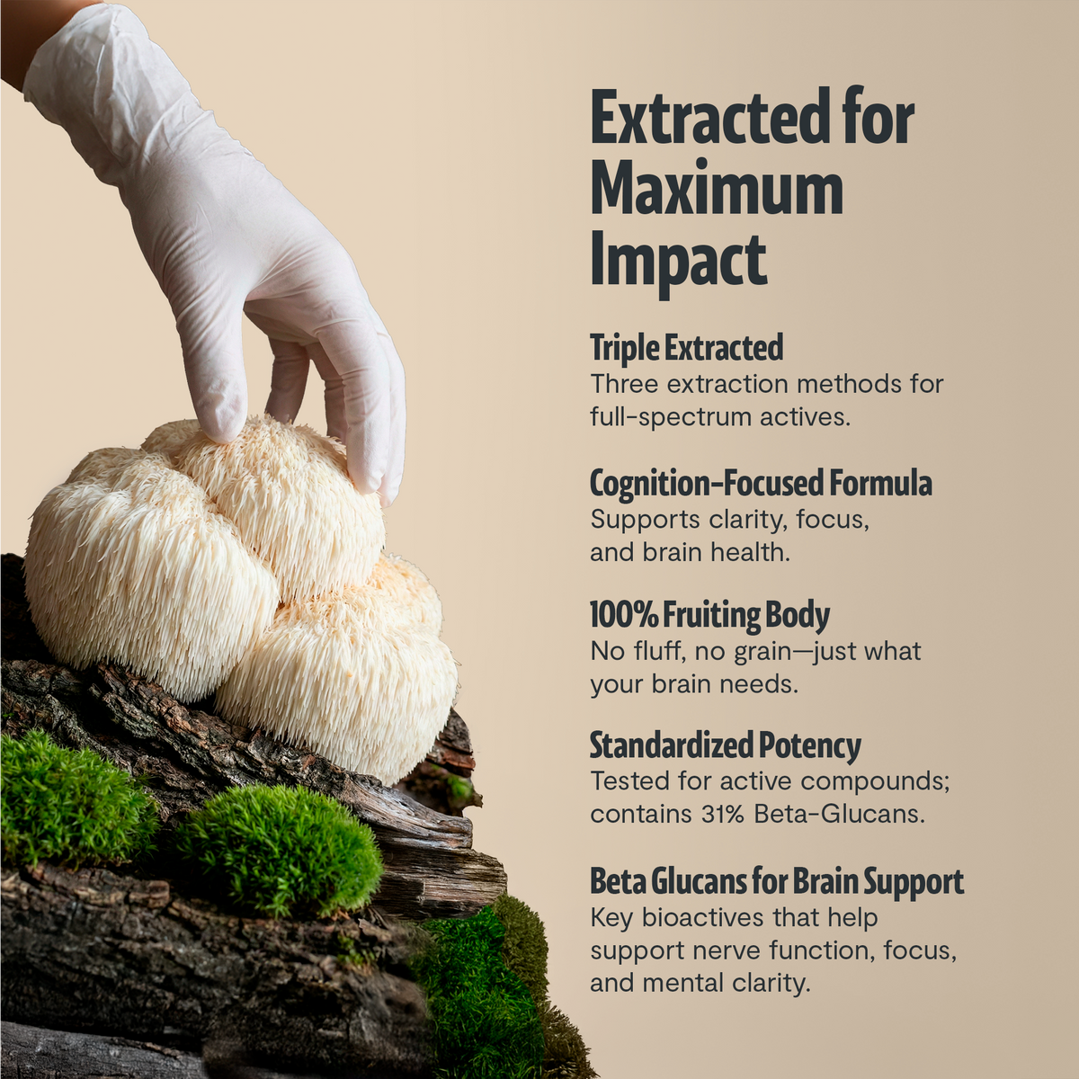 Organic Lion’s Mane Capsules